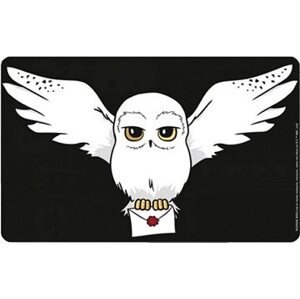 LOGOSHIRT Harry Potter: Hedwig Letter